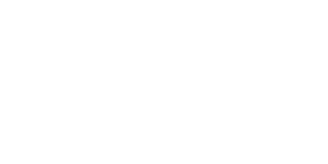 dsg